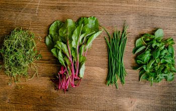 A vibrant selection of fresh herbs and greens neatly arranged on a wooden tabletop.